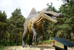 Solec Kujawski Atrakcja Park tematyczny JuraPark